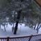 *NEW* Chalet in the Woods *1 Acre*2 Primary Suites*Pets - شو لو