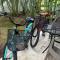 Lovely 1 Bedroom Condo with plunge pool In Bahia Principe Golf Resort