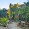 Lhong Chiang Dao Glamping หลงเชียงดาว