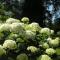 Gite de charme proche de Lille - La Conciergerie - 桑甘恩蒙朗特