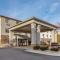 Comfort Suites Auburn Hills-Detroit - Auburn Hills