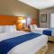 Comfort Suites Auburn Hills-Detroit - Auburn Hills