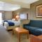 Comfort Suites Auburn Hills-Detroit - Auburn Hills