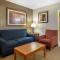 Comfort Suites Auburn Hills-Detroit - Auburn Hills
