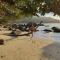 Beach View Villa - Beauvallon villas