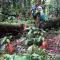 Metare Eco Hostal Amazonas - Летісія