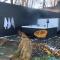 Ode to the '70's creative private home with pool - Honey Brook