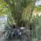 Le Jardin