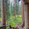 Mid-Century Cabin Creekside, Easy Access to i-70 - Dumont