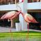 Flamingo Grand Hotel & Spa - Albena