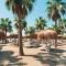 Selectum Family Resort Belek