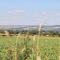 Lazy Dayz Lodge - Ganton