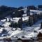 Chalet Butterfly