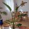 CocoMar I - Peace oasis with sea views - Guatiza