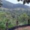 Ceylon Rich Leaves Ella
