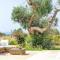 Villa Ligola Luxury sea view villa with swimming pool and jacuzzi, near SM di Leuca