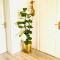 FILMAP-Apartments-Zentrale Lage-Boxspringbett-Beamer-Popcorn-gratis Parkplatz
