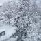 SNOW NEST: Superbe cocon enneigé