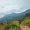 Neelakurunji Plantation Munnar - Chinnakanal