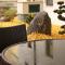 Hotel Ginkgo