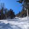Evergreen Escape At Snowshoe - 斯诺肖