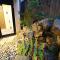 Boutique Hotel Iyashi Kiyomizu Gojo ex HOTEL SUHAANA