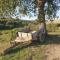 La casa dei nonni tra Crete Senesi e Val D’Orcia