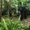 Forest Villa Nature Resort