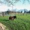 Saddlers Cottage, Berllandeg Farm - Clynderwen