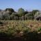 Agriturismo Podere L'Agave - 圣温琴佐