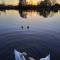Ferry Lodge Norfolk Broads