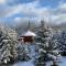 OR Luxury yurt-like home in Bretton Woods with private beach firepit AC fishing and trails