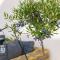 Central Bliss / your perfect home away from home