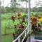Nacientes Lodge