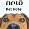 Hotel Aplo - Breakfast Experience