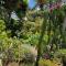 Casa Jardin Tropical
