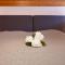 Apartment Grand-Pont 15 by Interhome - فيلار سور أولون