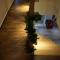 Mountain Home / Center Arachova