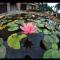 KRISHNA HERITAGE RESORT