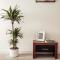 Cozy Urban Luxury Studios in Centre of Iasi