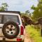 Kruger Park Hostel