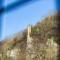 Rock Mill Apartment 21