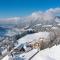 Alpenchalets Oberlaiming