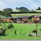 Badgers Retreat Holiday Park - Hunton