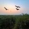 Joy Bagh Resort Pushkar - 布什格尔