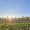 TinyWine House Vale dos Vinhedos - Cabana Chardonnay - 加里波第