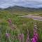 Gorse Gorgeous Glamping Hideaway
