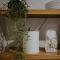 Lavender BnB
