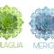 Meriga