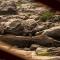 Leo Woods Hampi River view